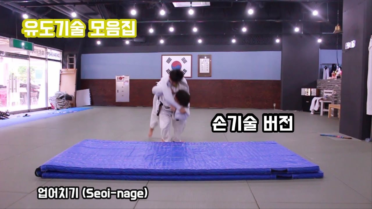 유도기술 메치기 손기술 (Judo skill, hand skill, NAGE-WAZA  Te-waza)[흠이 HEUM]