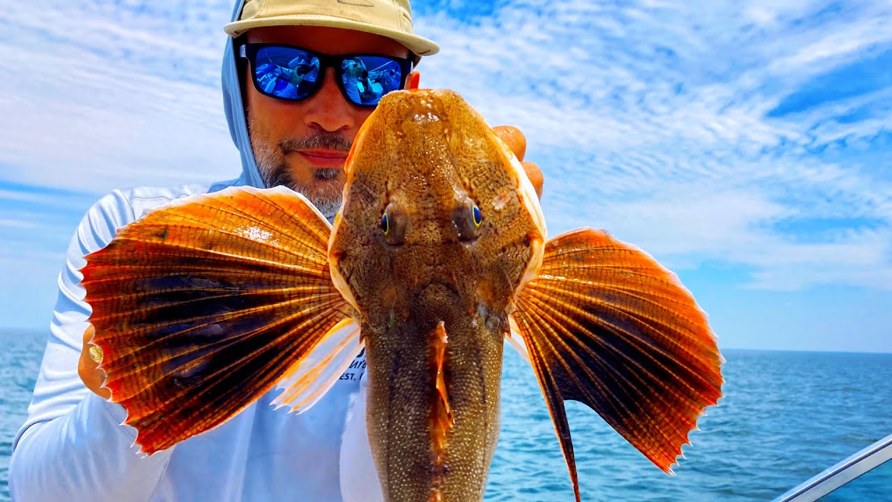 The Most Hated Fish | Salsa Macha Tostada
