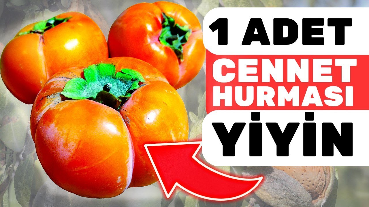 1 Tane Cennet Hurması Yemek Vücudunuza Bunları Yapıyor | Trabzon Hurmasının Faydaları Nelerdir?