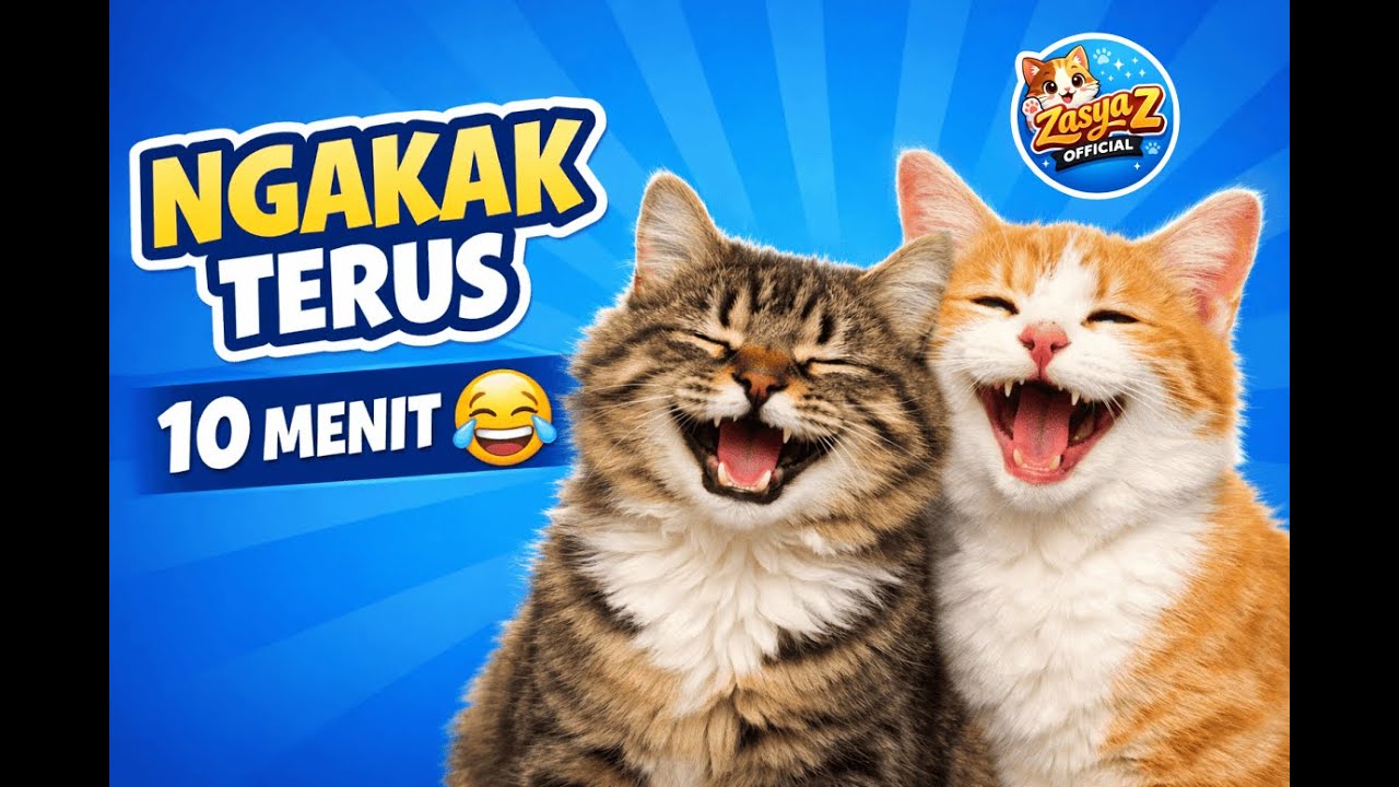 Kucing Kocak Sepanjang Hari 😹 | 10 Menit Hiburan Santai