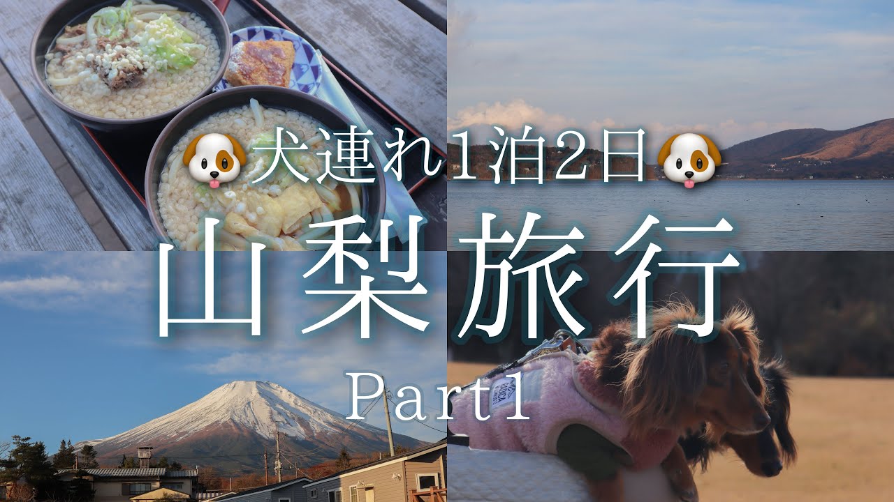 【犬連れ山梨1泊2日旅①】富士山と山中湖が見えるドッグラン付きトレーラーハウスに宿泊♪どこにいても富士山が見えて大感動✨️