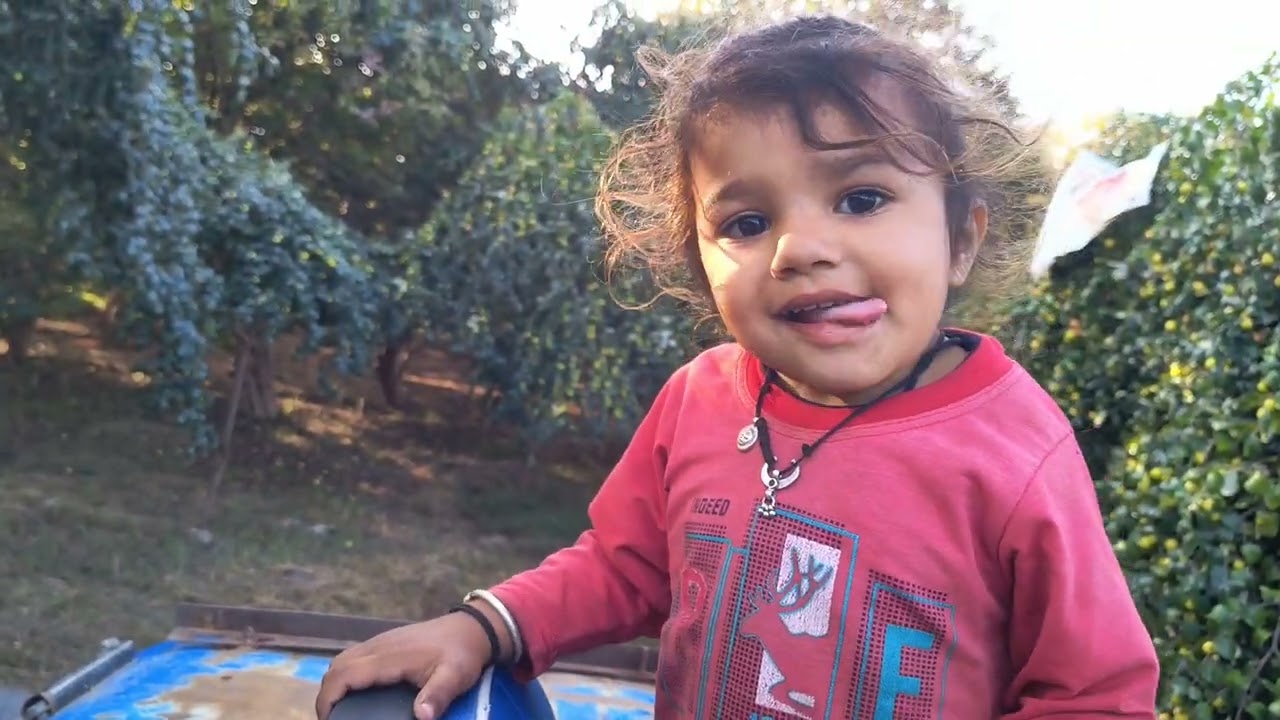 मेंढकों 😛 फूल 😛 मस्ती 😂🫡#automobile #funny #cutebaby #comedy #bollywoodsongs #cute 