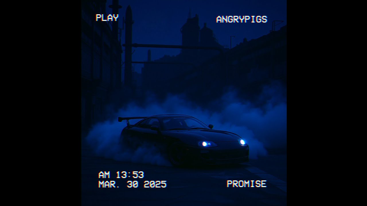 angrypigs - PROMISE
