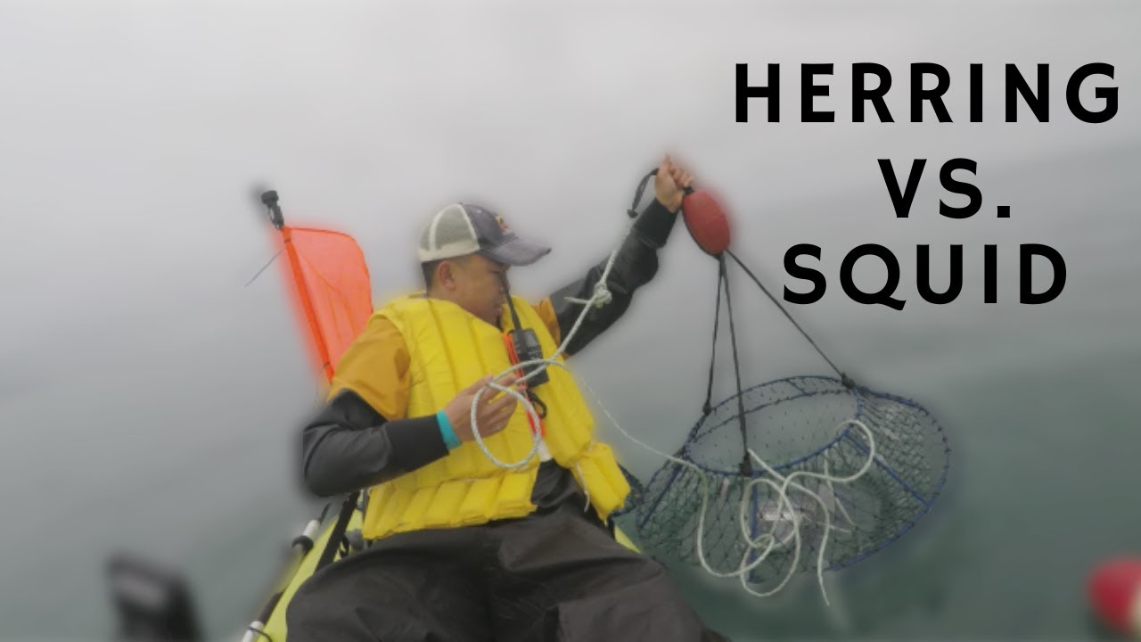 San Francisco Bay KAYAK CRABBING | BEST BAIT FOR CRABBING?