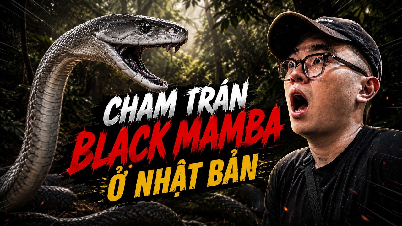 XÂM NHẬP THÁNH ĐỊA RẮN ĐỘC Ở NHẬT BẢN