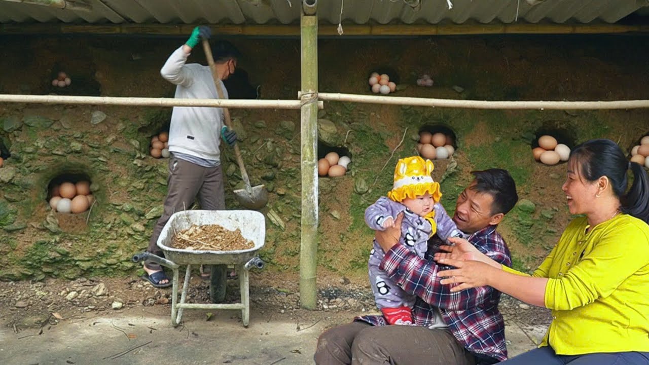 DAU harvested a lot of chicken eggs. TU picked pumpkins to sell, a happy day together.