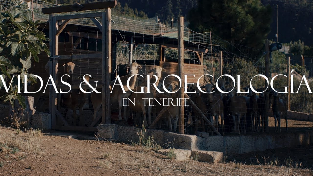 VIDAS Y AGROECOLOG&Iacute;A EN TENERIFE