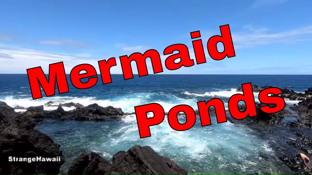 Mermaid Ponds tide pools Big Island Hawaii
