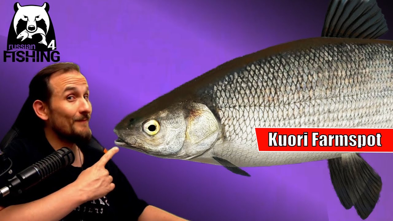 Russian Fishing 4 - Kuori - Peledmaräne auf Pose, Pose Skillen, Prozente auf Pose