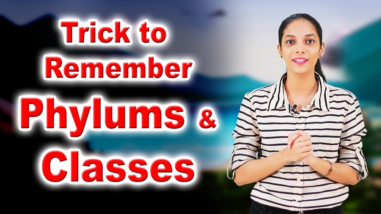 Class 10 I Trick to Remember Phylums & Classes I Kingdom Animalia I Biology I Home Revise