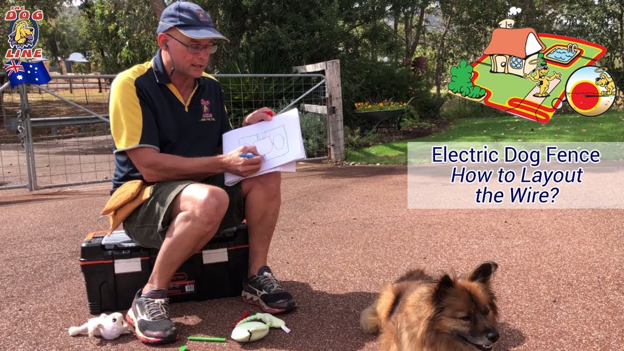 Electric Dog Fence - How to layout an Invisible Dog Containment Wire?