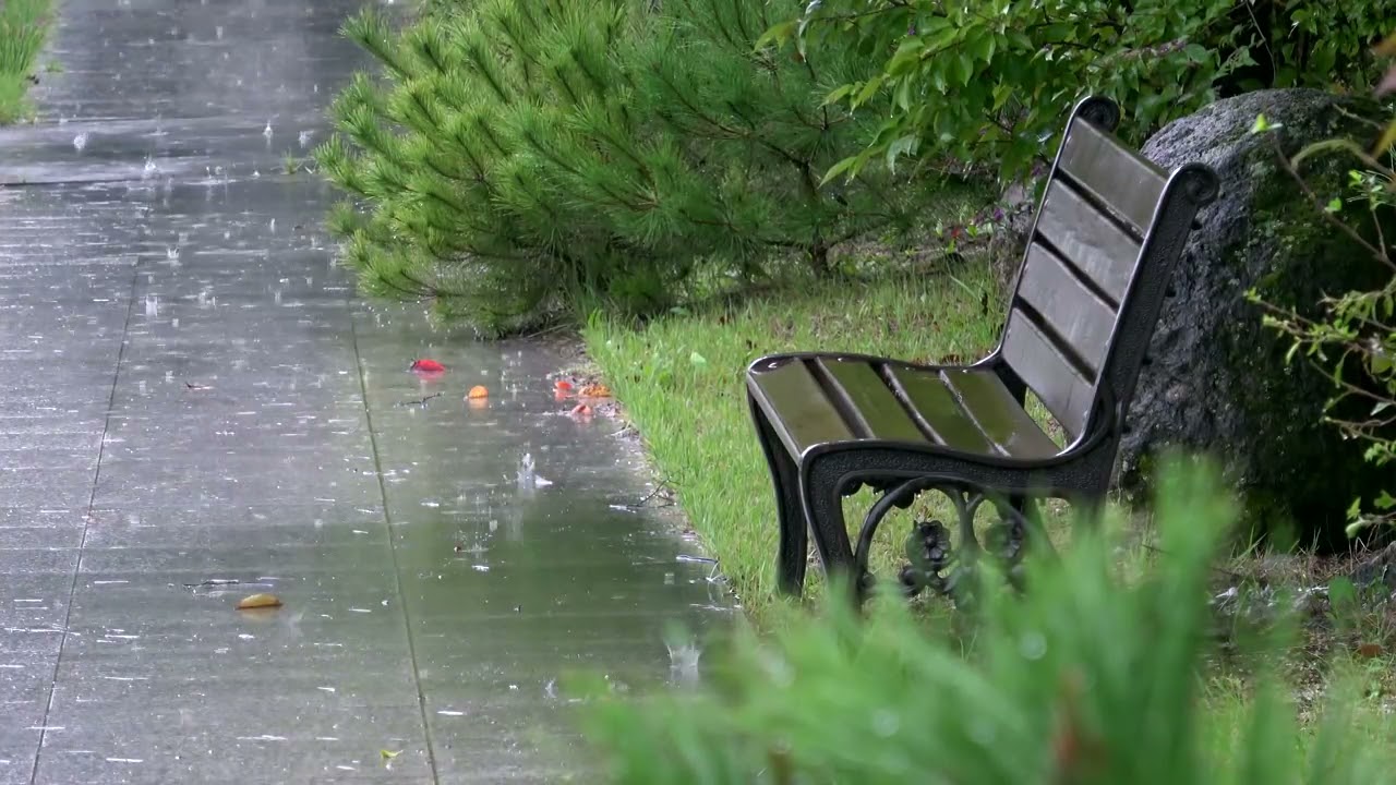 [4K] Rain on a park bench . Rain Sounds for Deep Sleep . Rain Sound Relaxation 2023 . موسیقی طبیعت
