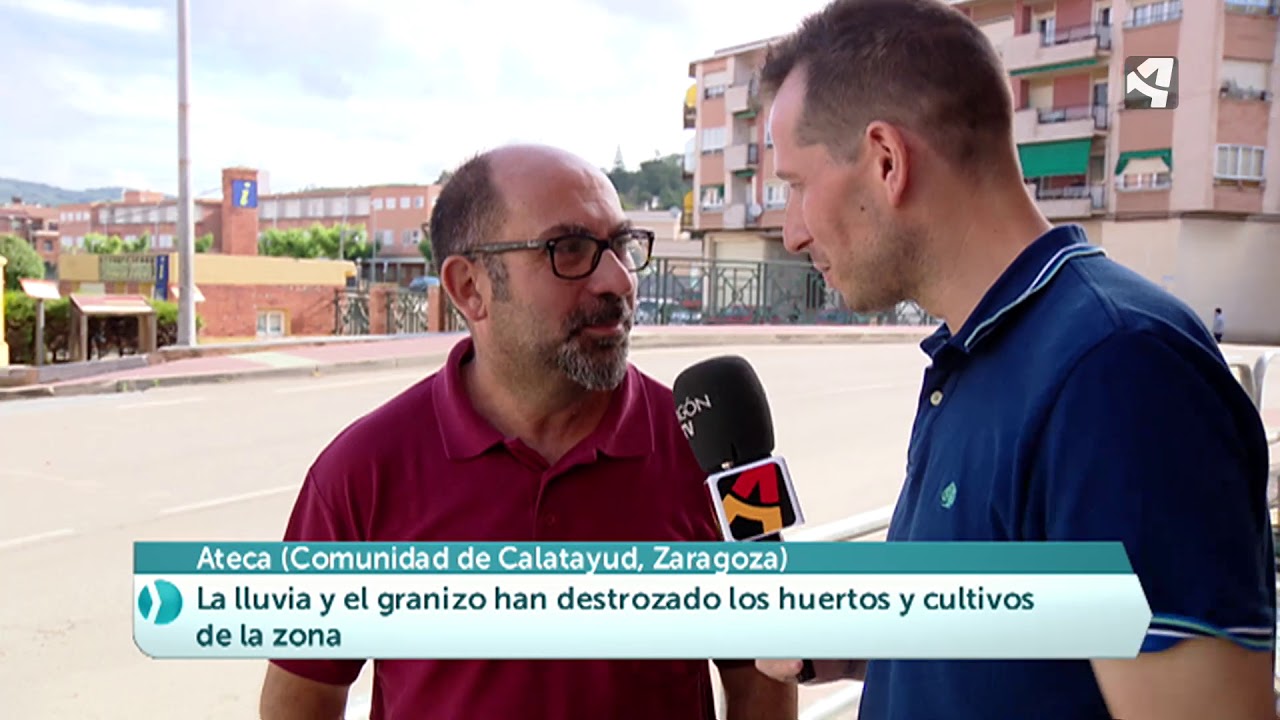 El granizo arrasa la fruta de Ateca