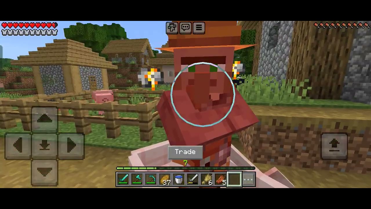 I bring all the villagers in his big villager house