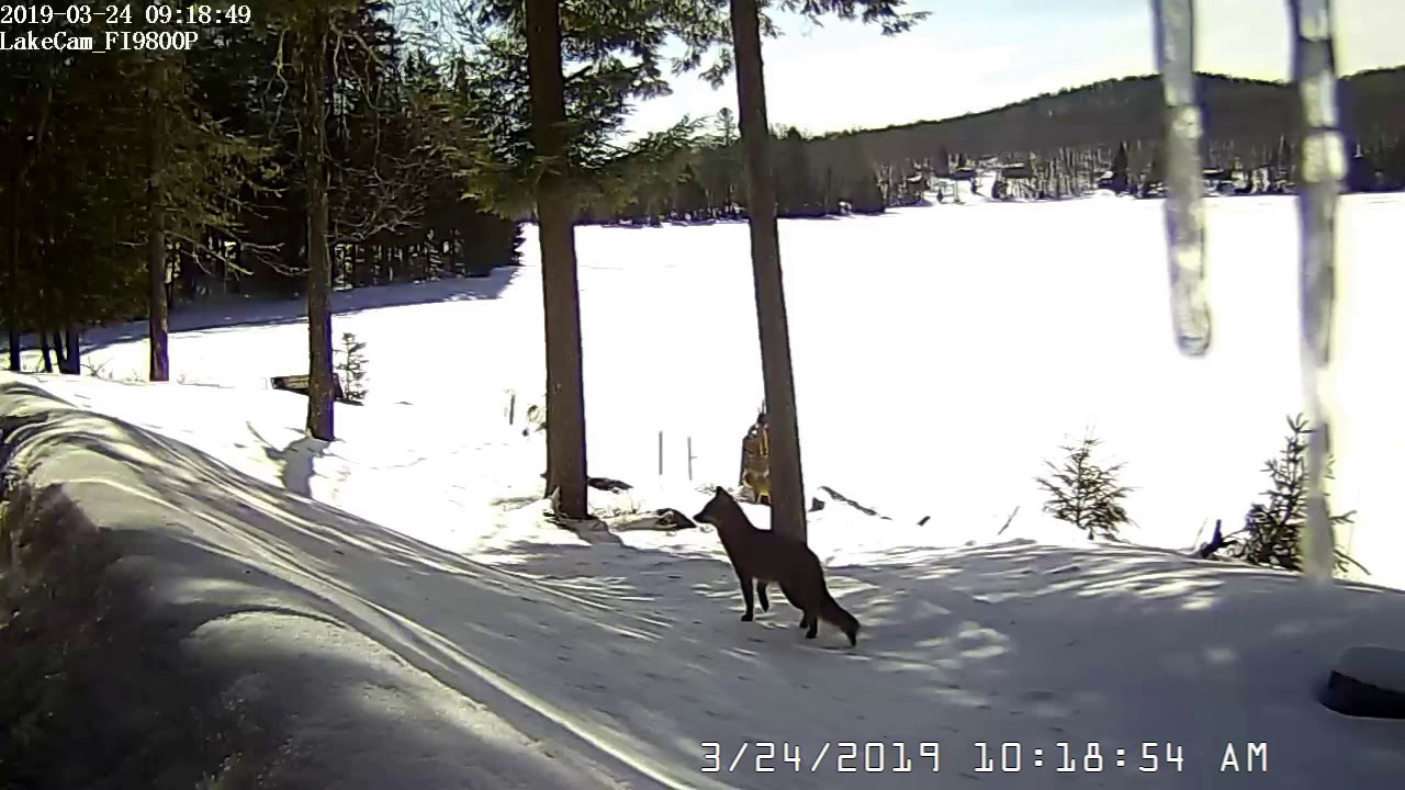 LakeCam 20190324 084912 1