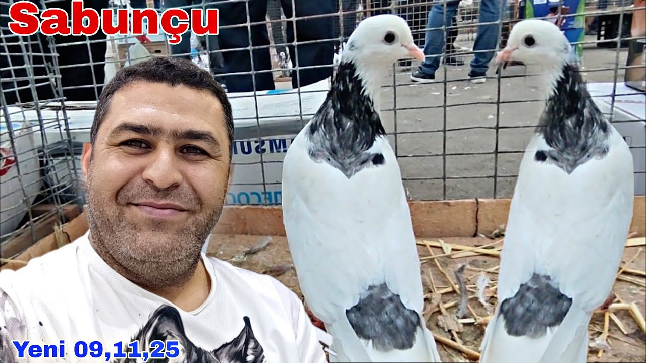 Sabunçu Quş Bazarı 09 Noyabr 2025 #sabuncuqusbazari 