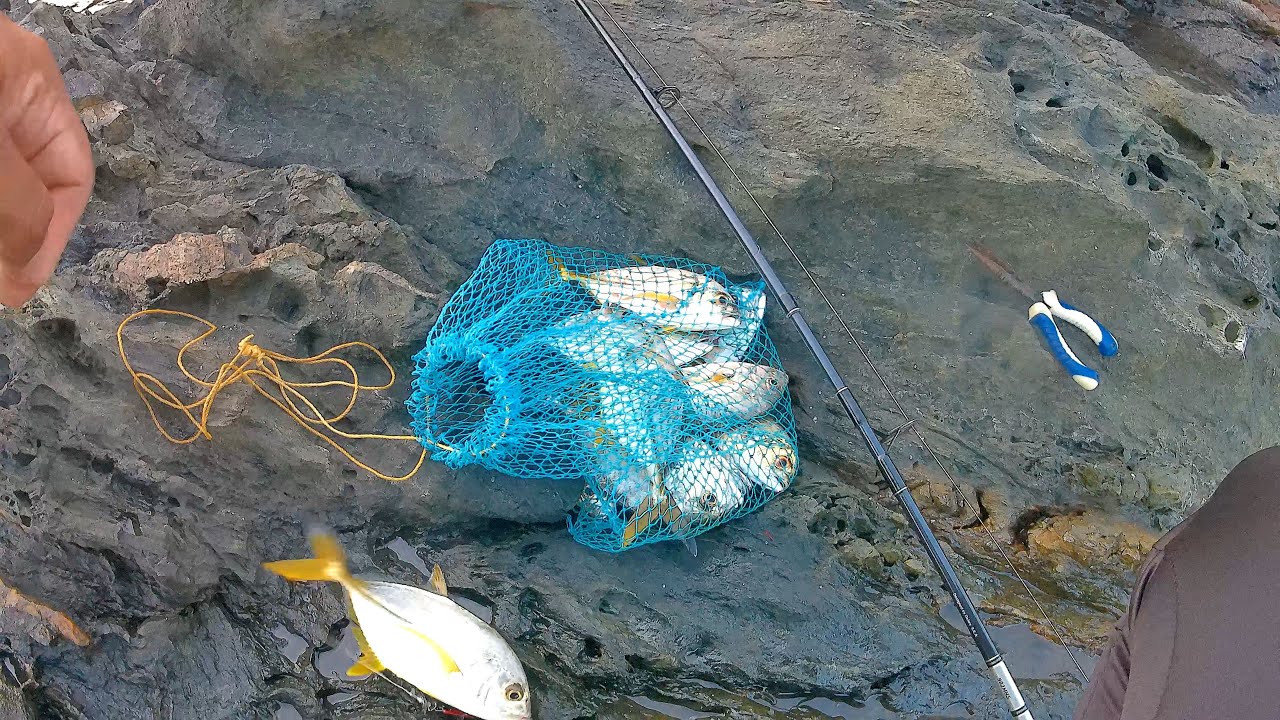 Catching fish at every cast, Goafishing/Indiafishing