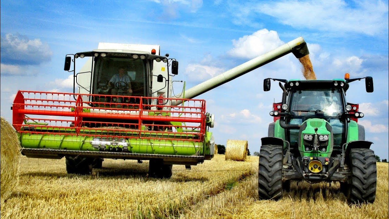 🔥Zieloni w Akcji!🔥Czyli żniwa pszenicy oraz prasowanie słomy 2019⚫2xClaas, 2xWielton, DF, JD⚫