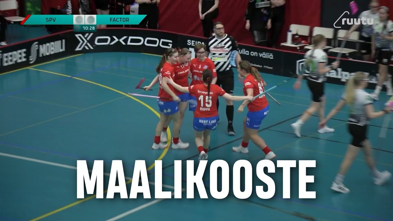Maalikooste: SPV - FB Factor (Inssi-Divari N)