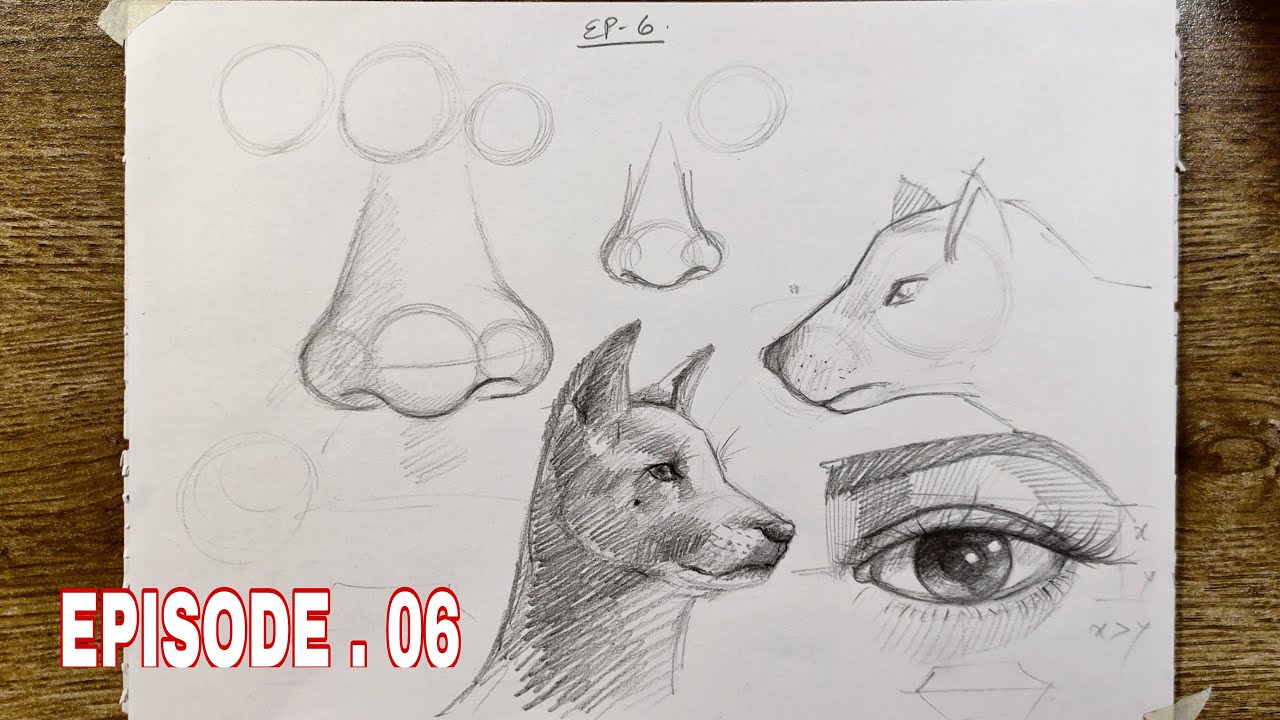 Drawing class for beginners episode 06