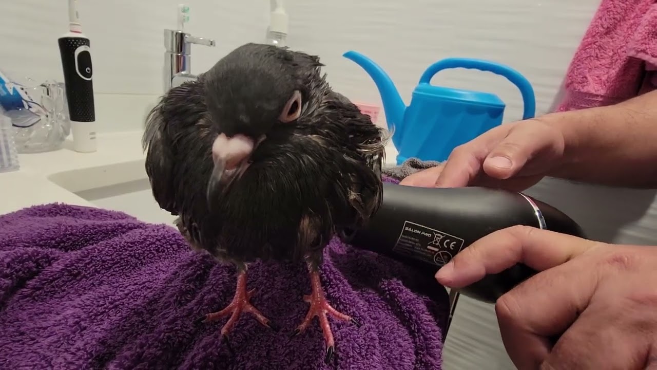 Bath Therapy for Lovey Dovey