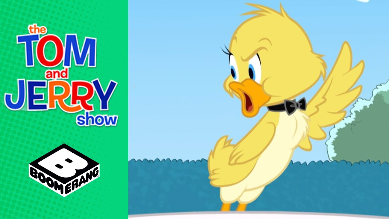 The Talent Show Contest | Tom & Jerry | Boomerang UK