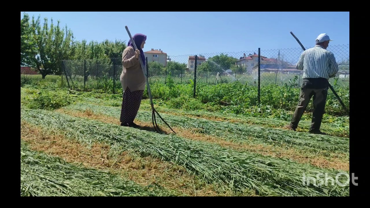 BAYRAM IN SON GÜNÜ BAHÇE SULAMASI