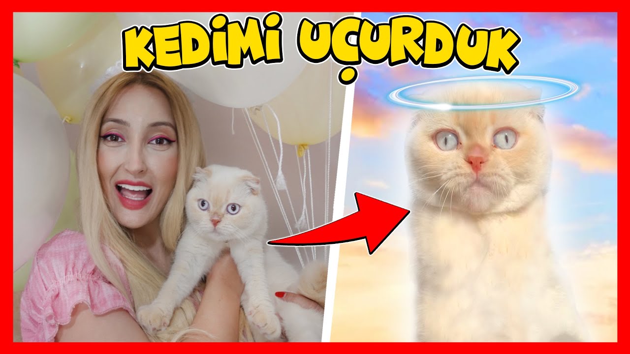 KEDİMİ 1000 TANE BALONLA UÇURDUK 😱  🎈 REAL LİFE CAT KOMİK DENEY | KÜBRA NİSA HAN KANAL