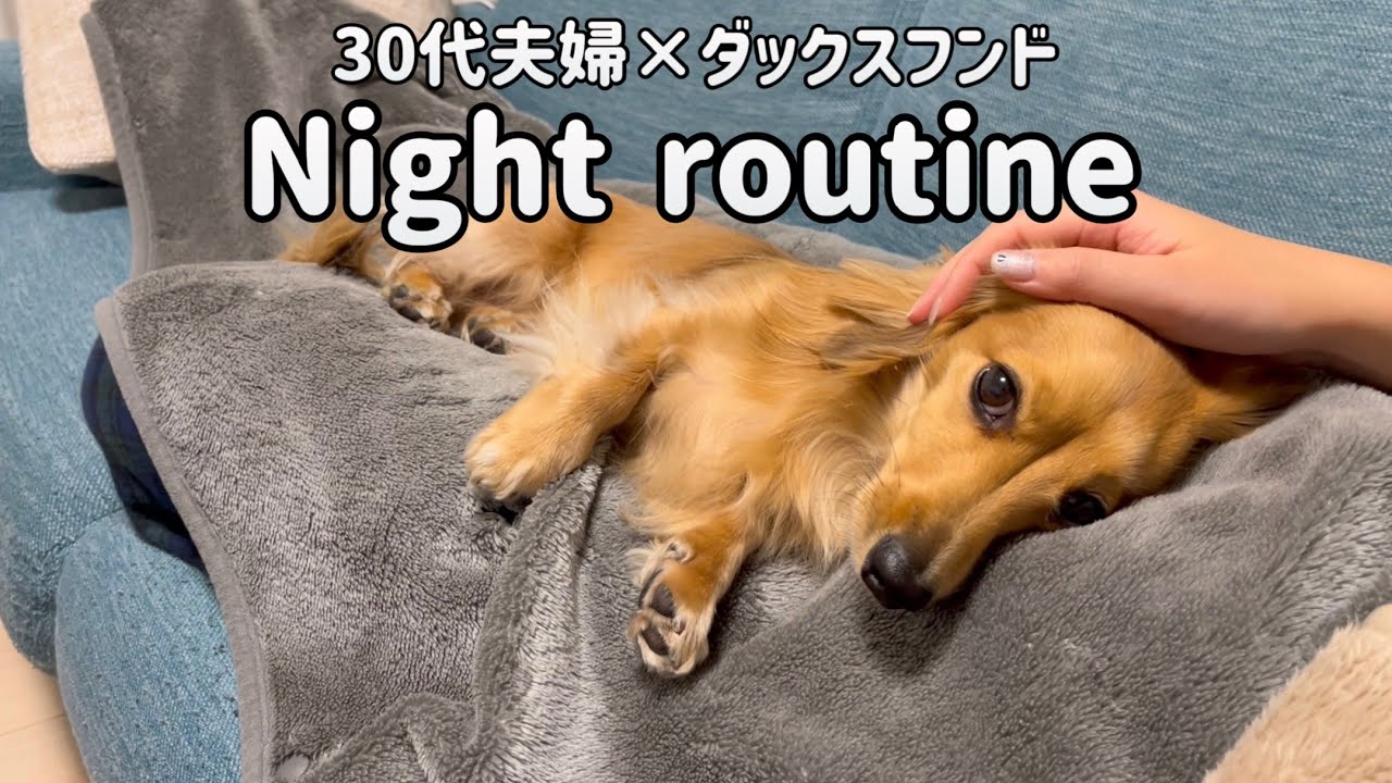 時間に追われない華金のナイトルーティン【カニンヘンダックスフンド】