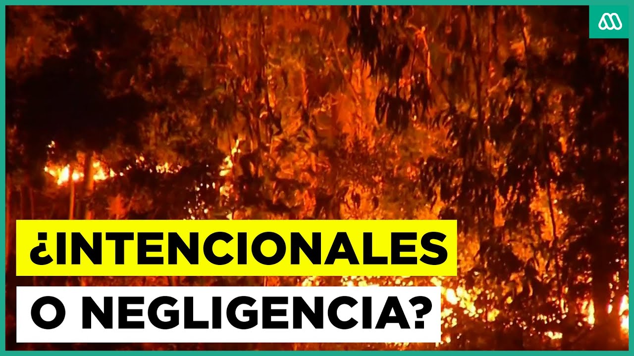 El origen de los incendios: ¿Intencionales o negligencia?