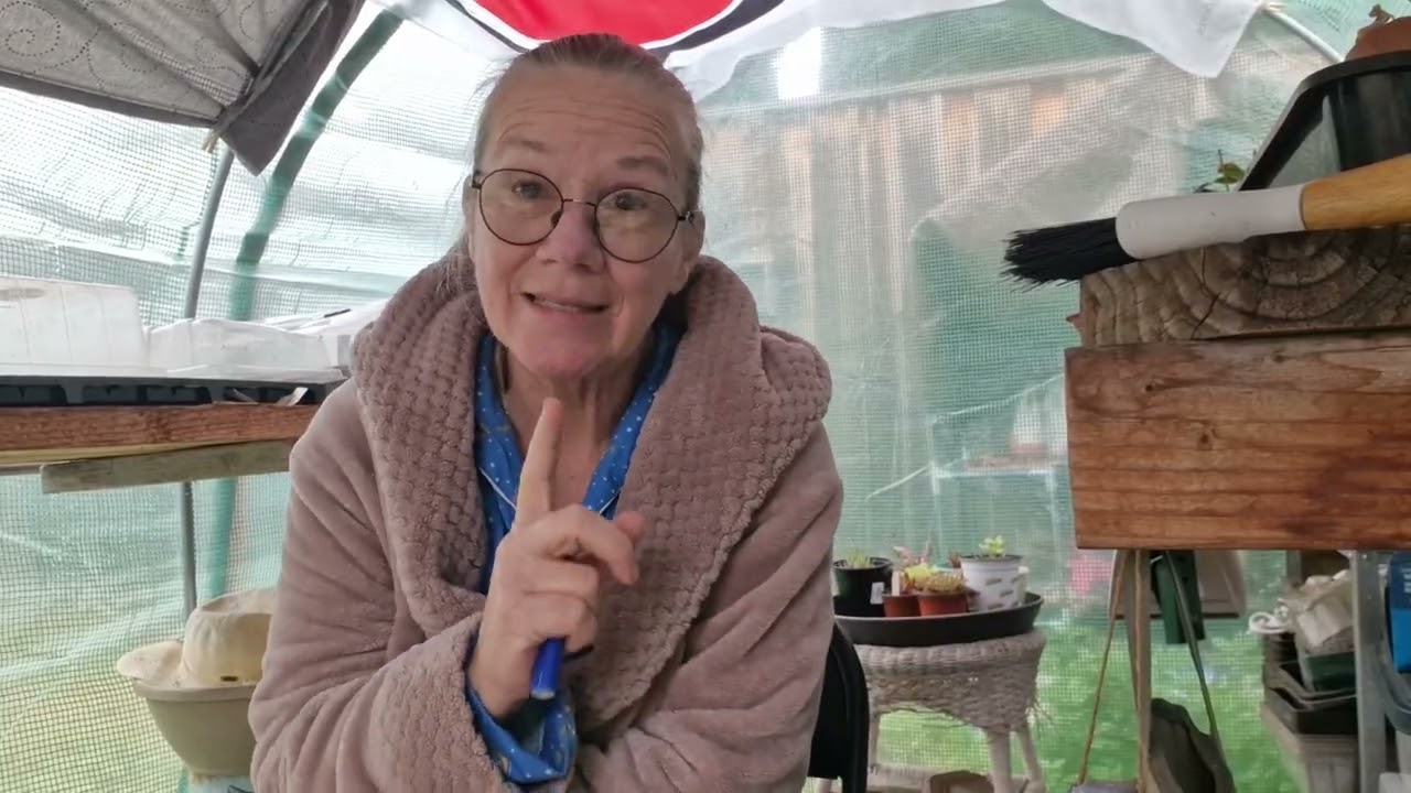 Hey Mom! Sunday Morning In The Greenhouse 