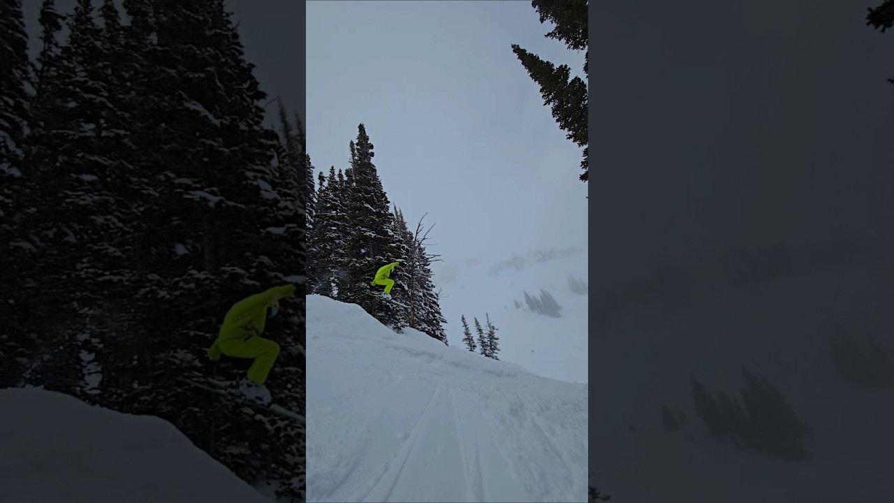 ❄️ tail grab ❄️ 