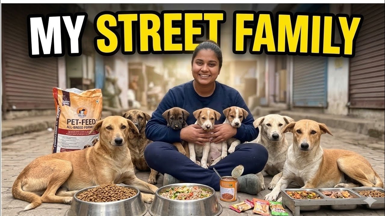 Lunch Time For Street Dogs😍#dog #streetdog #viral #lovely #food #shortsfeed #puppy #youtube 