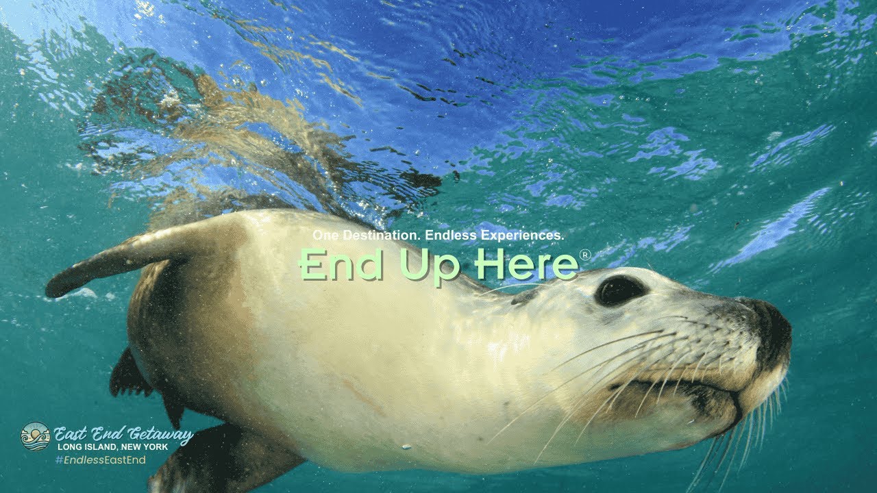 Long Island, New York's East End in 15 Seconds | East End Getaway