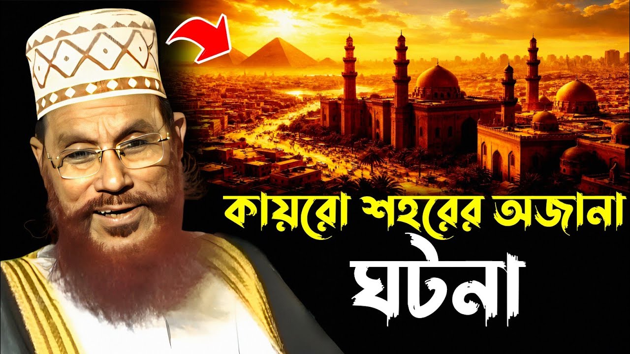 কায়রো শহরের অজানা ঘটনা | আল্লামা দেলাওয়ার হোসাইন সাঈদী Delwar Hossain Sayeedi waz