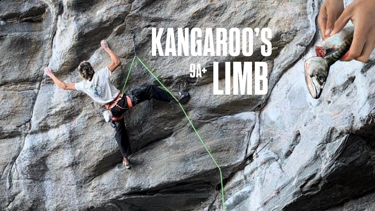 KANGAROO’S LIMB - 9a+/5.15a (+ bonus dyno project)