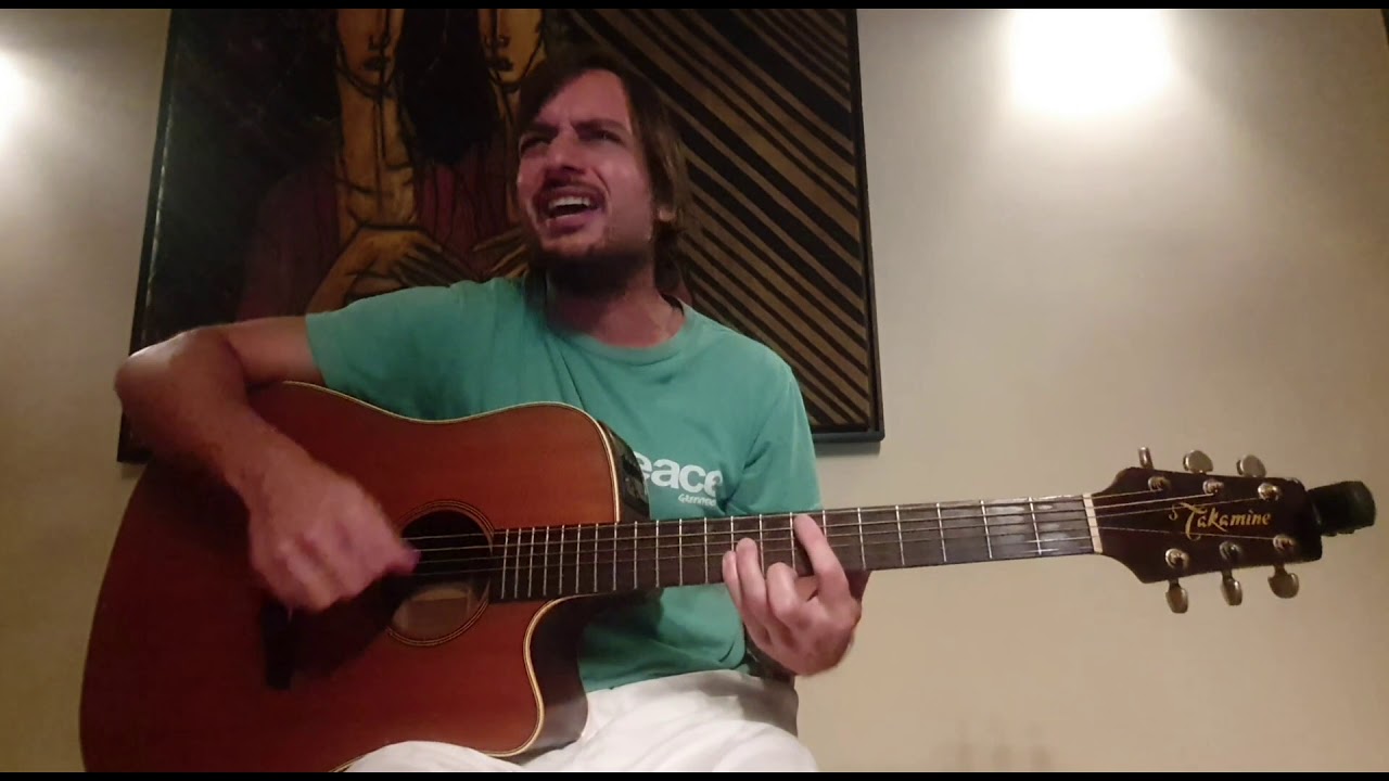 Bad Religion - I Want To Conquer The World (Acoustic Cover)