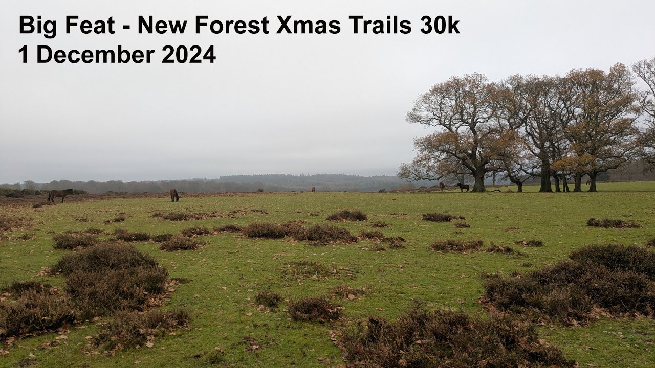 Big Feat    New Forest Xmas Trails 30k 2024