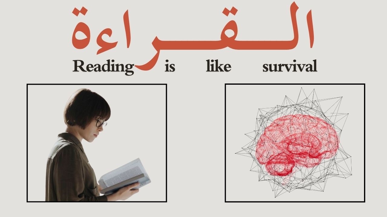 تشريح الدماغ والقراءة | كيف تعيد القراءة هندسة دماغك؟