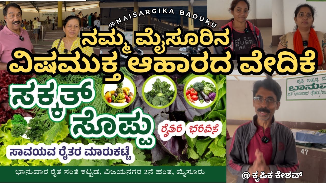 ಗ್ರಾಹಕರಿಗೆ ತೀರ್ಥಕ್ಷೇತ್ರಕ್ಕಿಂತ ಮಿಗಿಲಾದದ್ದು ಈ ಸಂತೆ | ಸಕ್ಕತ್ ಸೊಪ್ಪು |🧑🏼‍🌾|ORGANIC MARKET#mysore 🇮🇳💛❤️