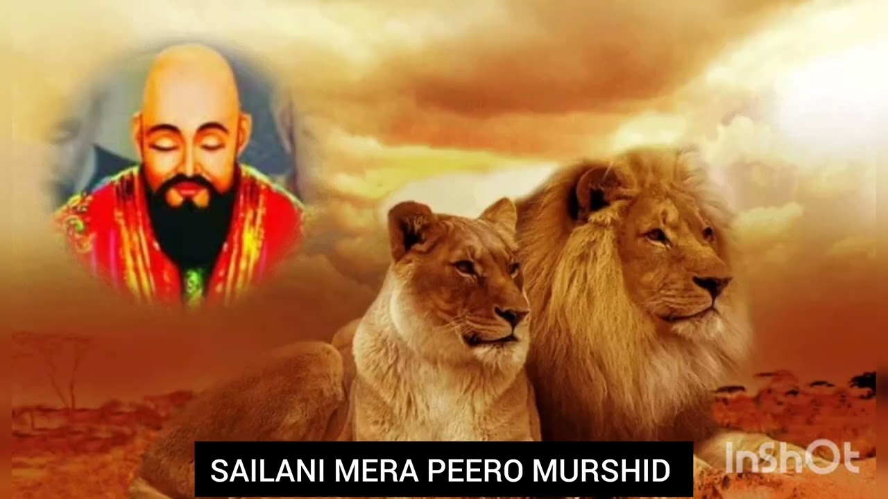 SAILANI SHAE ALAM NA BHI KYA SHAN PIYE HAI QUWWALI 2022