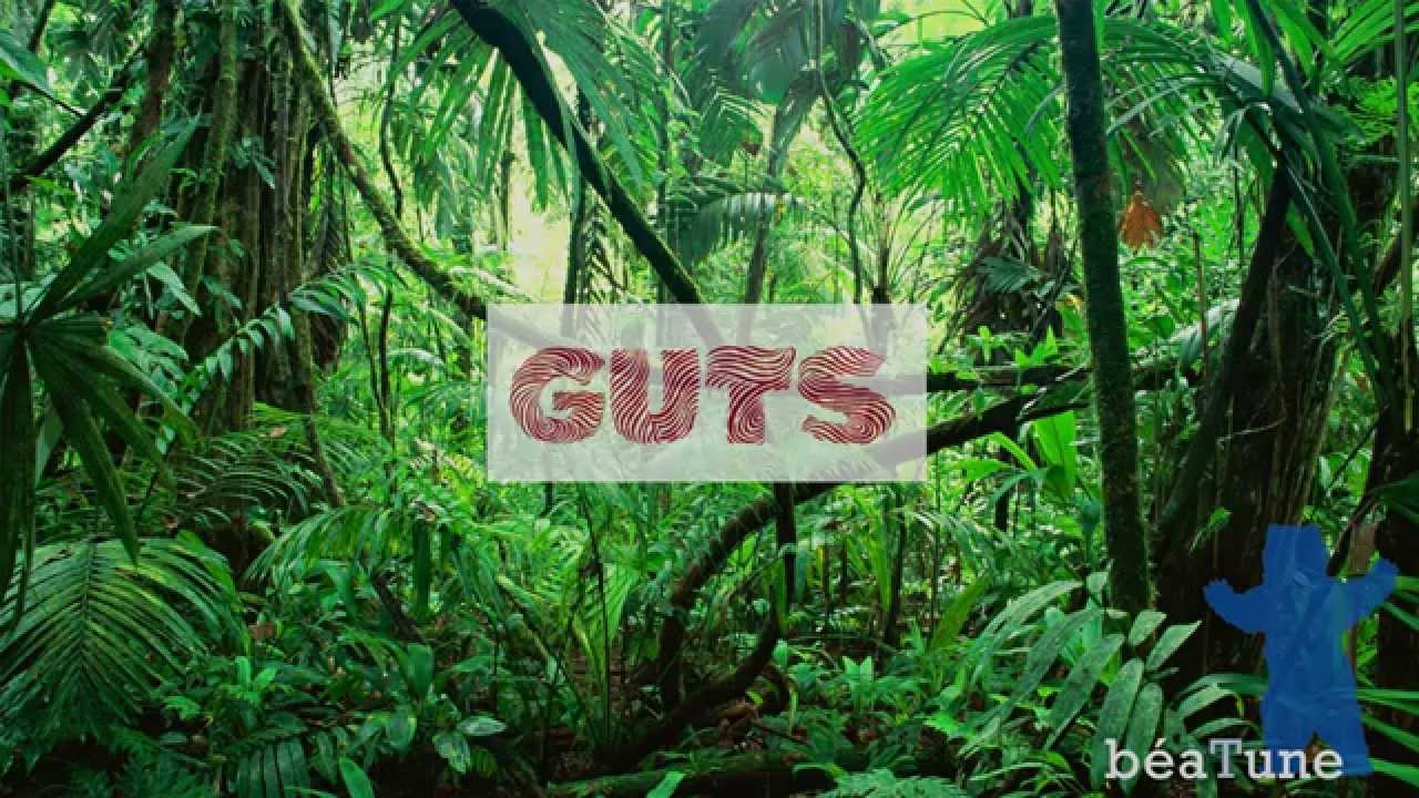 Jungle Space - Guts  HD