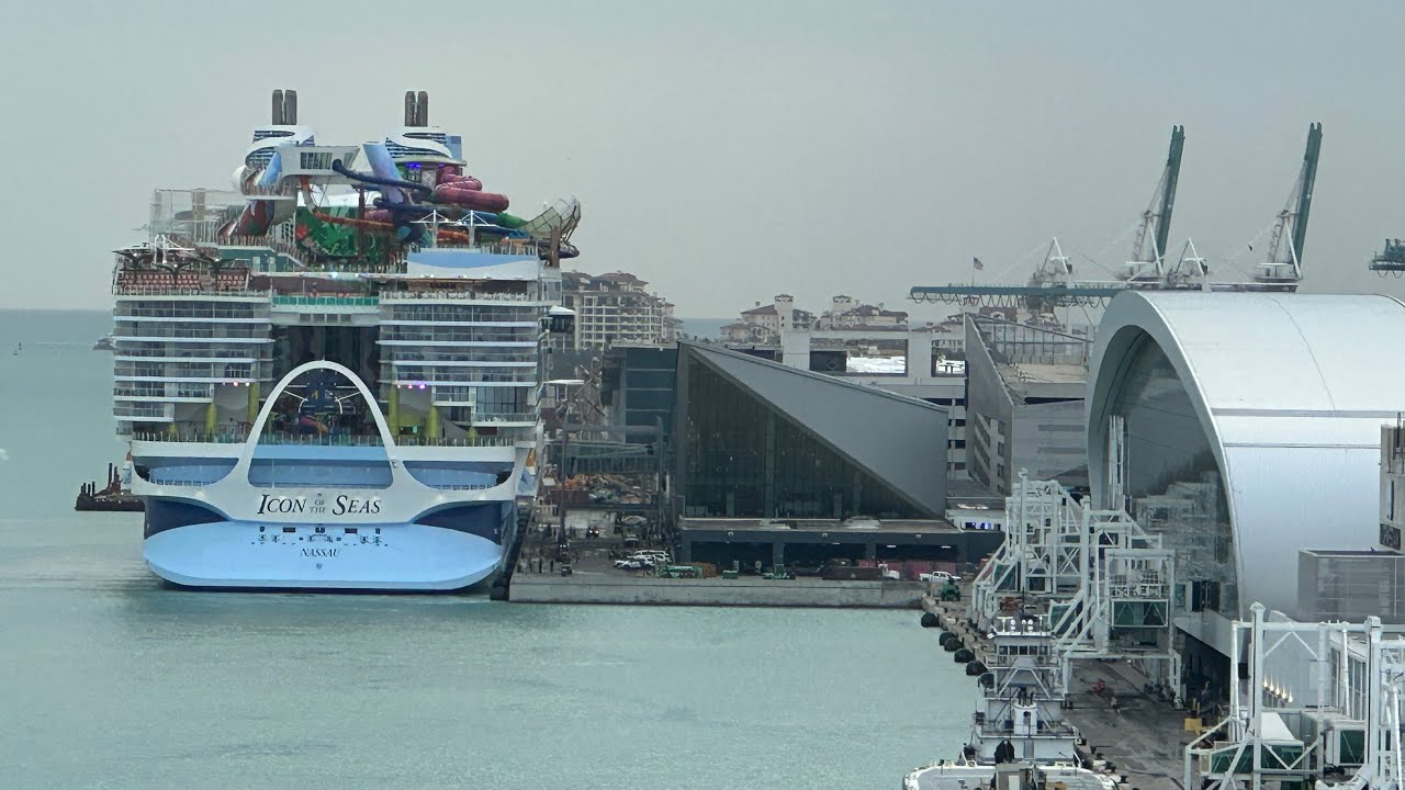 Icon of the Seas LIVE прибывает в Порт-Майами: из MSC Meraviglia #iconoftheseas