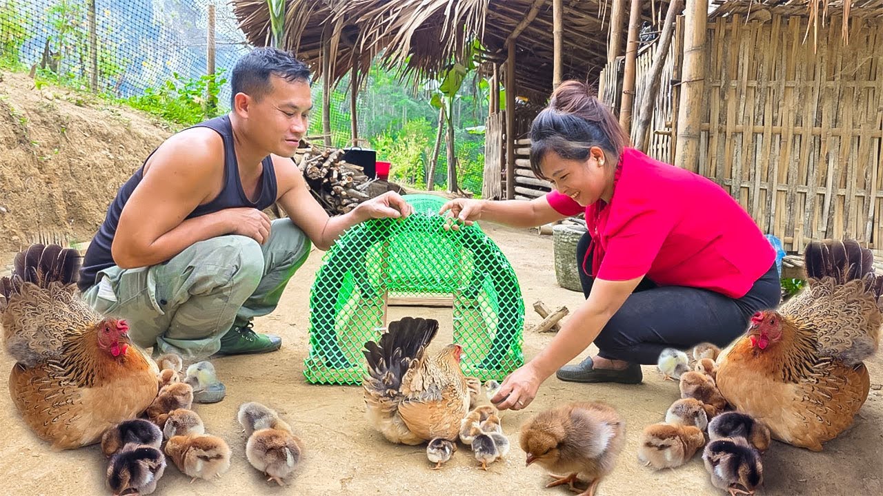 She designed a chicken coop from motorcycle tires and fed the newly hatched chicks |@lytunga90