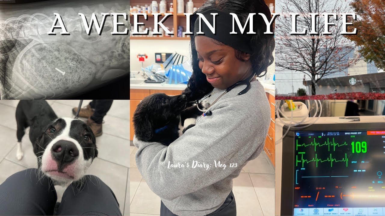 DOG ATE A SCREW 🔩 | A Week in My Life as a Vet Assistant 🐾