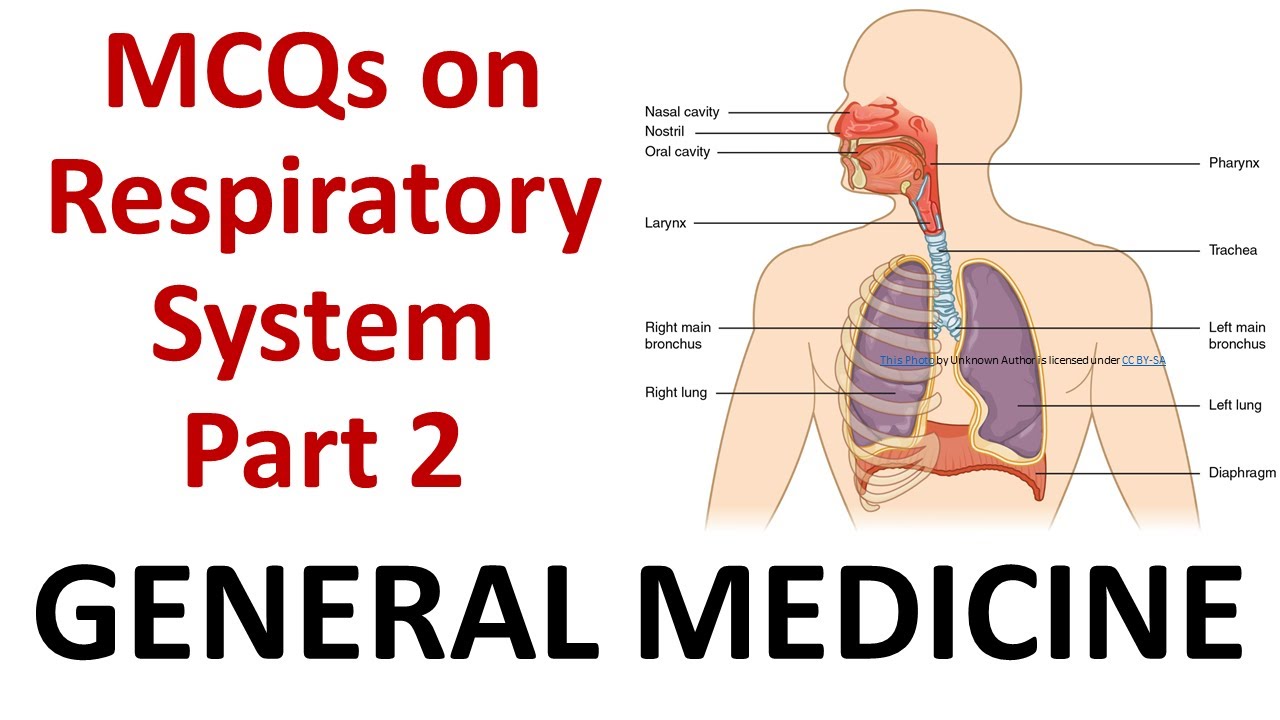 Part 2 MCQs on Respiratory System for PG Entrance - MDS/MD/MS