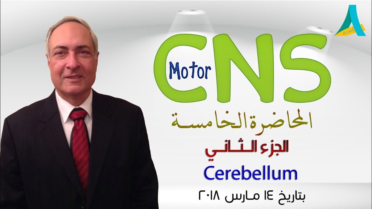 Dr.Nagi - Live Physiology - Lecture 89 - CNS Motor (5) - Part 2 - Cerebellum