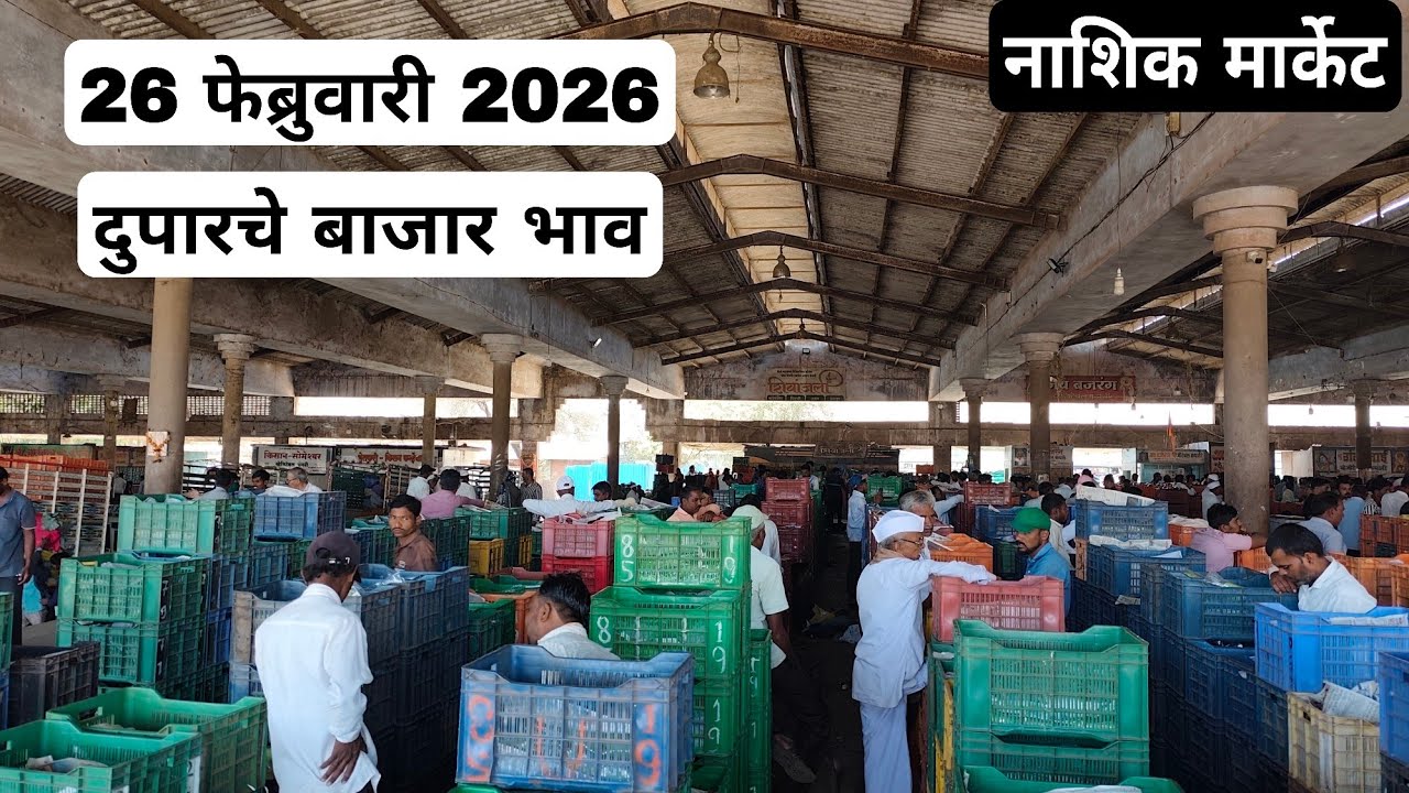 26 फेब्रुवारी 2026 | दुपारचे बाजार भाव नाशिक मार्केट | Vegetables मार्केट नाशिक rate today 