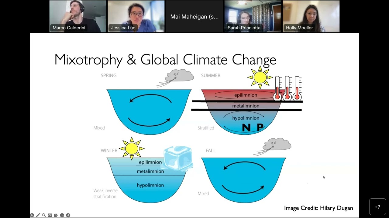 Mixotrophs WG meeting: Mixotrophs and Global Change