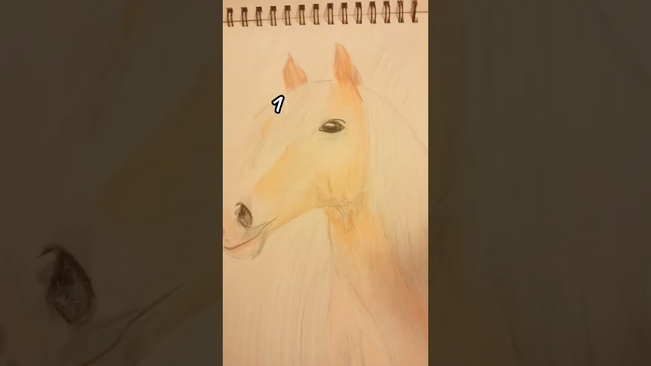 #wybijesie #horse #equestrian #art #love #konie #music